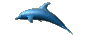 dolphin.gif (7267 bytes)